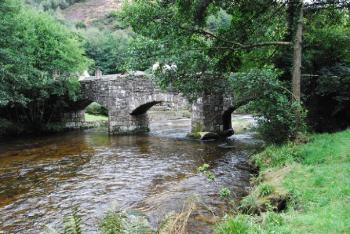 Fingle1